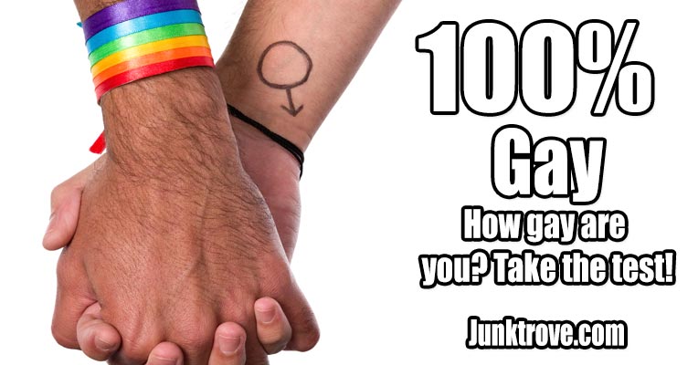 Im I Gay Quiz 82